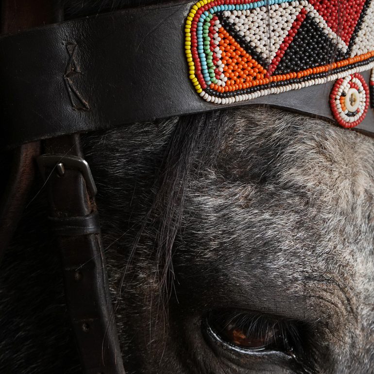 horse website